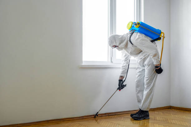 Emergency Pest Control Services in Marco Island, FL